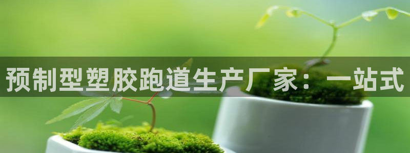 谈球吧黑款:预制型塑胶跑道生产厂家:一站式